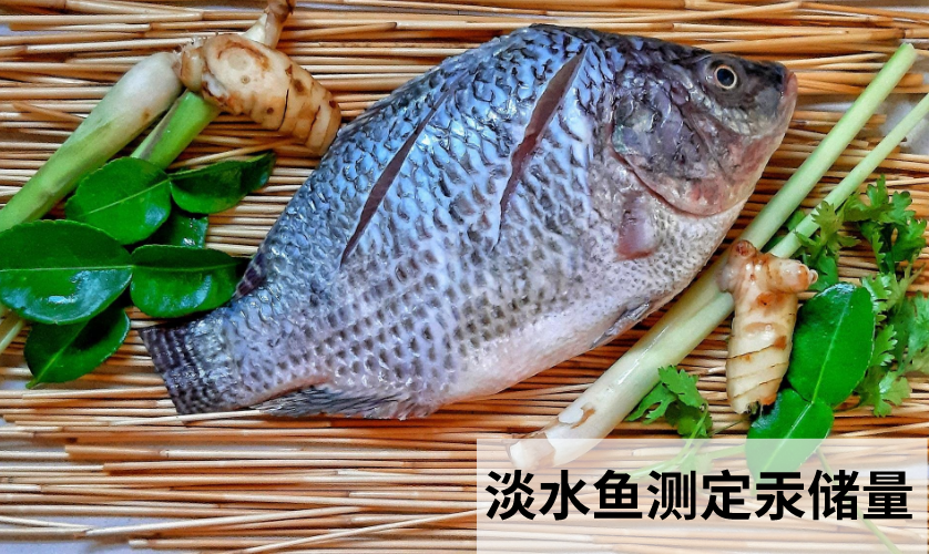 智能石墨消解儀前處理消解淡水魚測定汞儲量